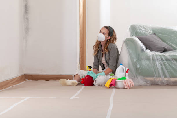 Reliable Black Mold Removal contractor in Tampa, FL by WQB Mold Removal